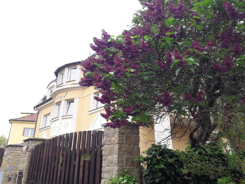 Hotel Garni Rambousek image