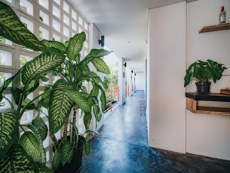 Allia Residence image