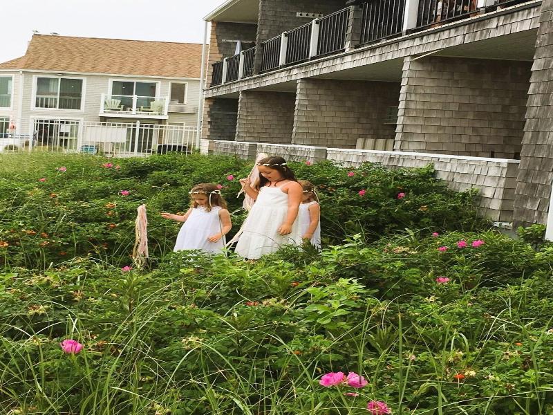 By The Sea Guests Bed Breakfast Suites image