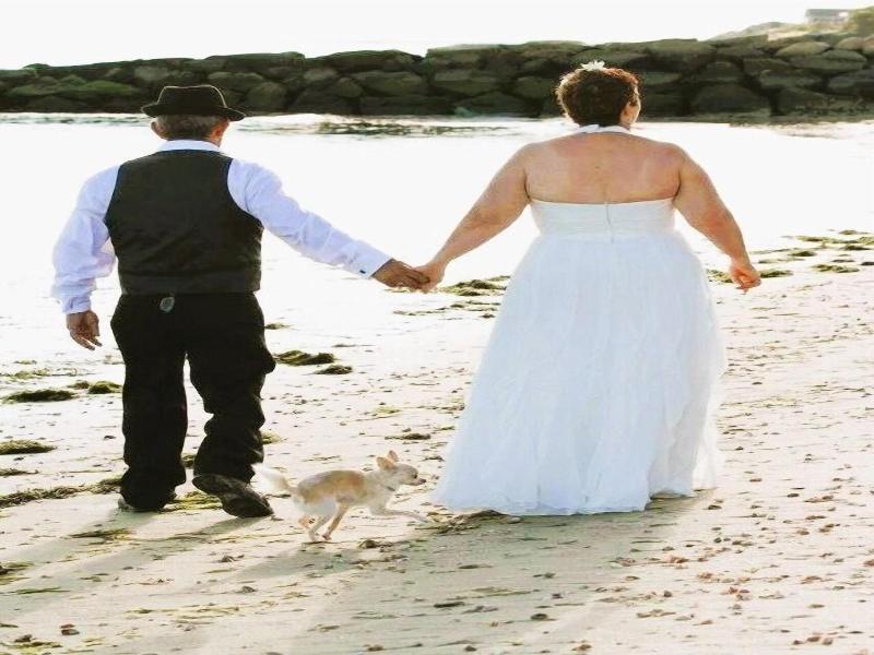 By The Sea Guests Bed Breakfast Suites image