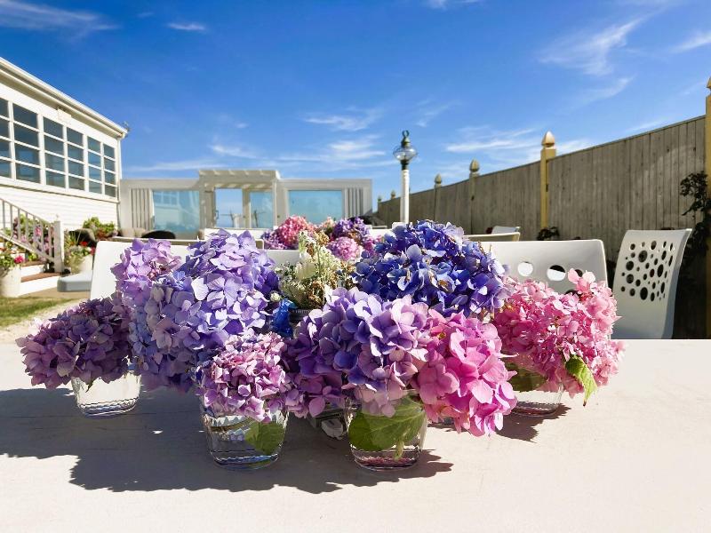 By The Sea Guests Bed Breakfast Suites image