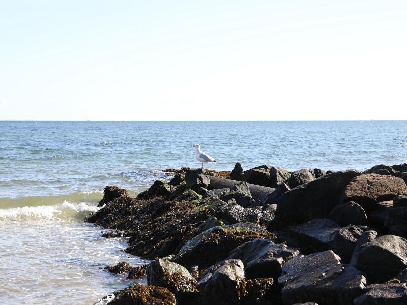 By The Sea Guests Bed Breakfast Suites image