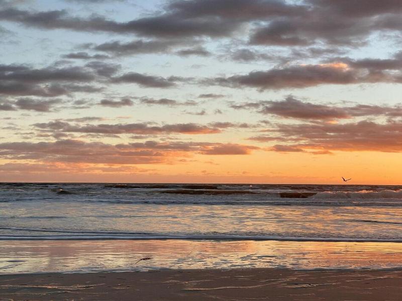 By The Sea Guests Bed Breakfast Suites image
