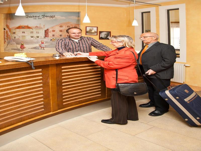 Hotel Binggl image