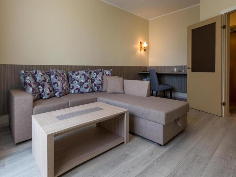 Viiking Spa Hotel image