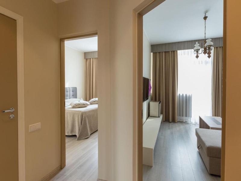 Viiking Spa Hotel image