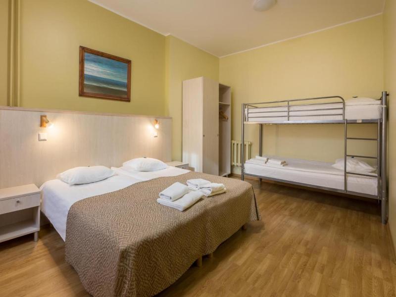 Viiking Spa Hotel image