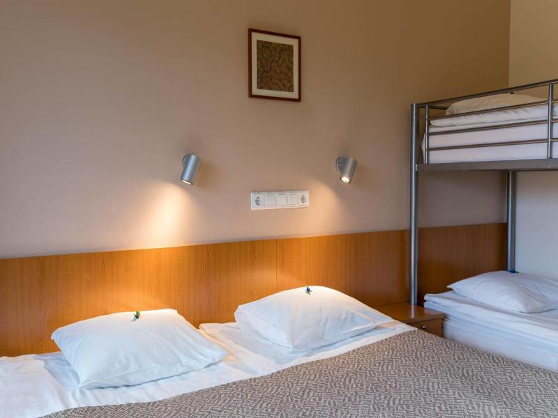 Viiking Spa Hotel image
