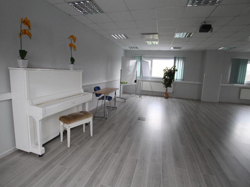 Viiking Spa Hotel image