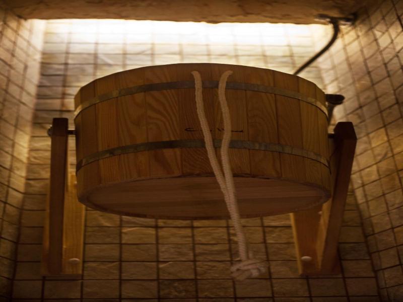 Viiking Spa Hotel image