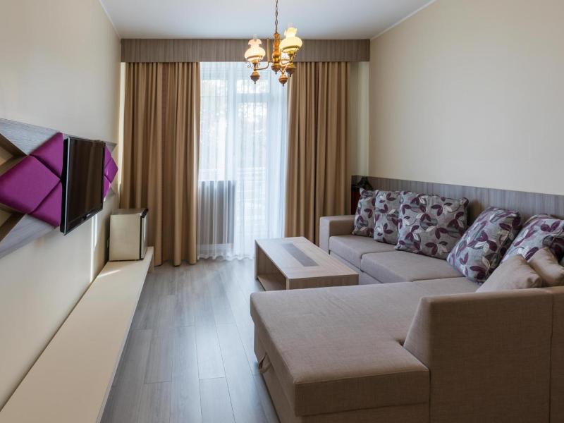 Viiking Spa Hotel image