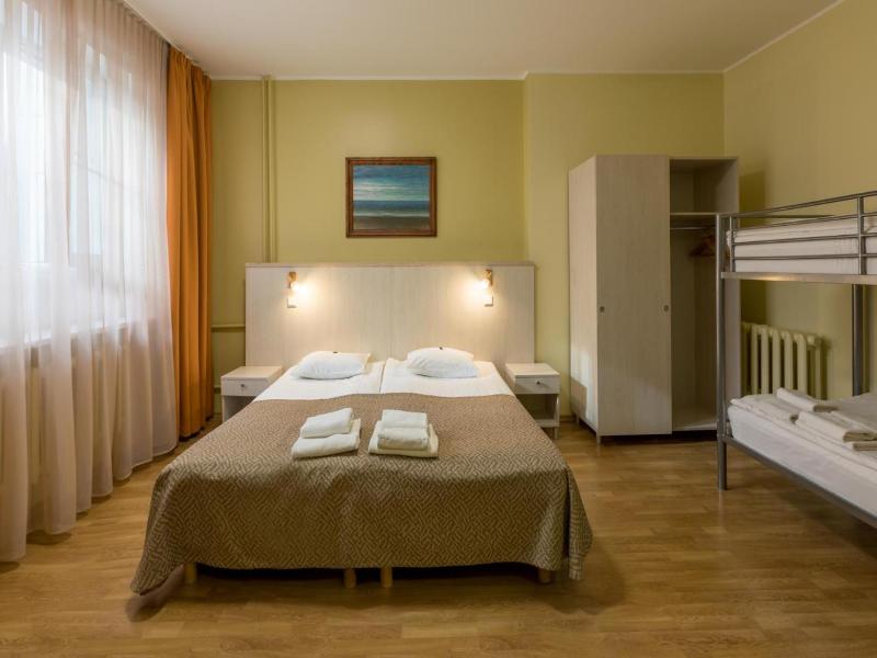 Viiking Spa Hotel image