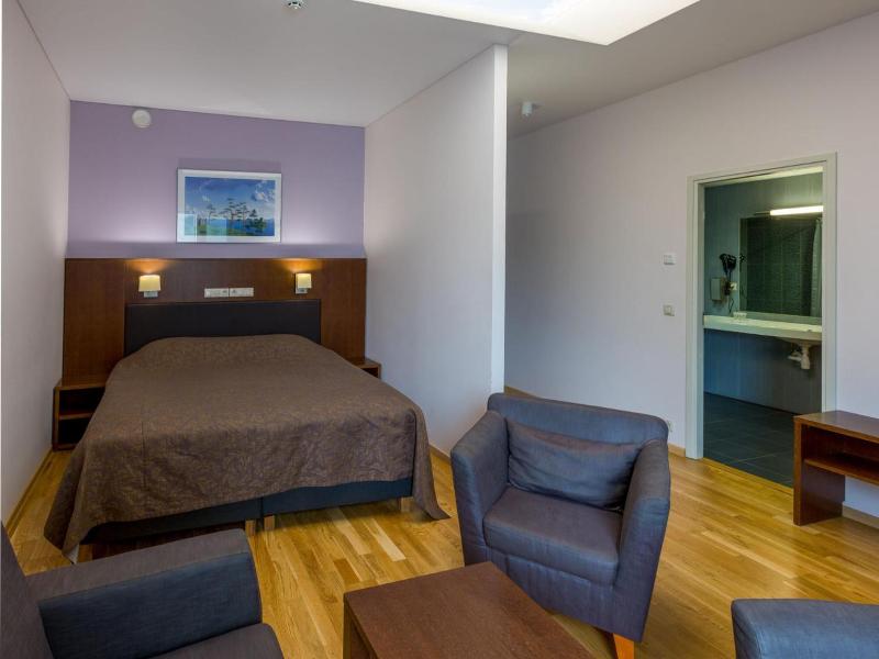 Viiking Spa Hotel image