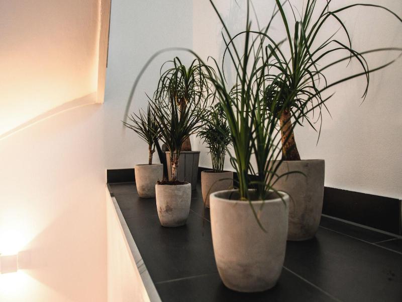 Hotel Palmenbad image