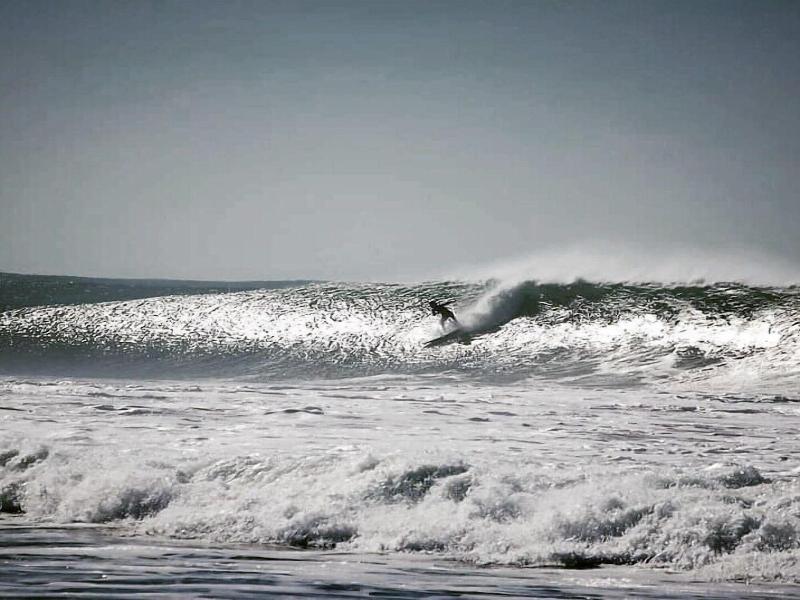 Freesurf Camp Hostel image