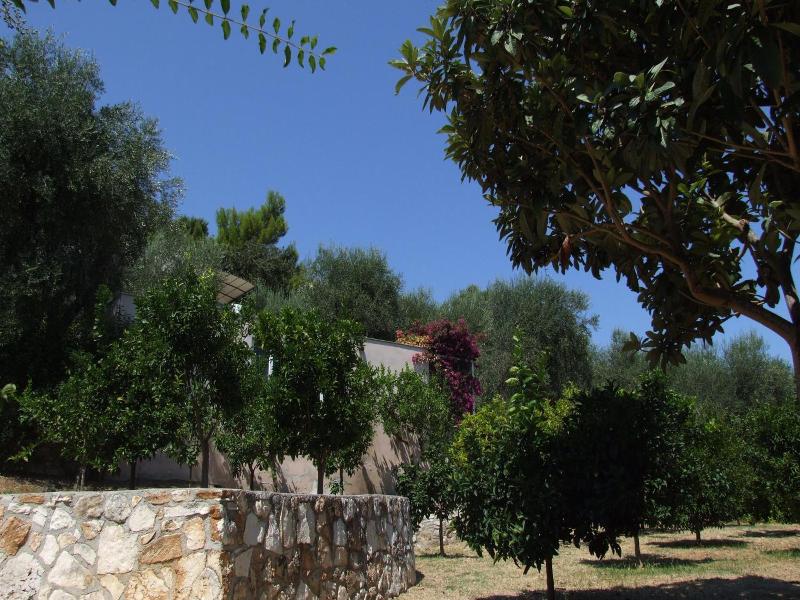 Villaggio Ripa image