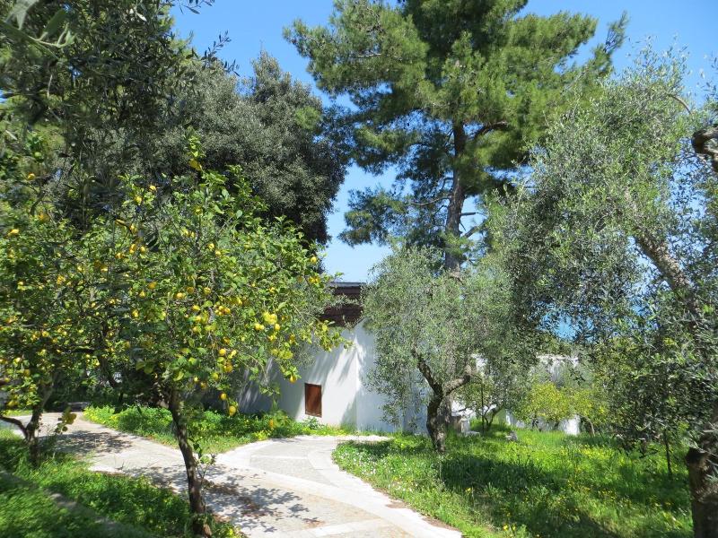 Villaggio Ripa image