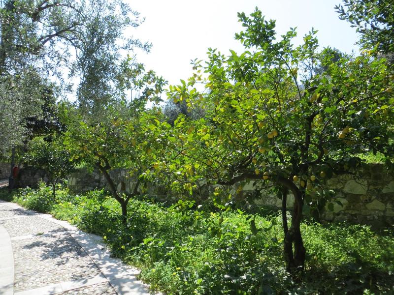 Villaggio Ripa image