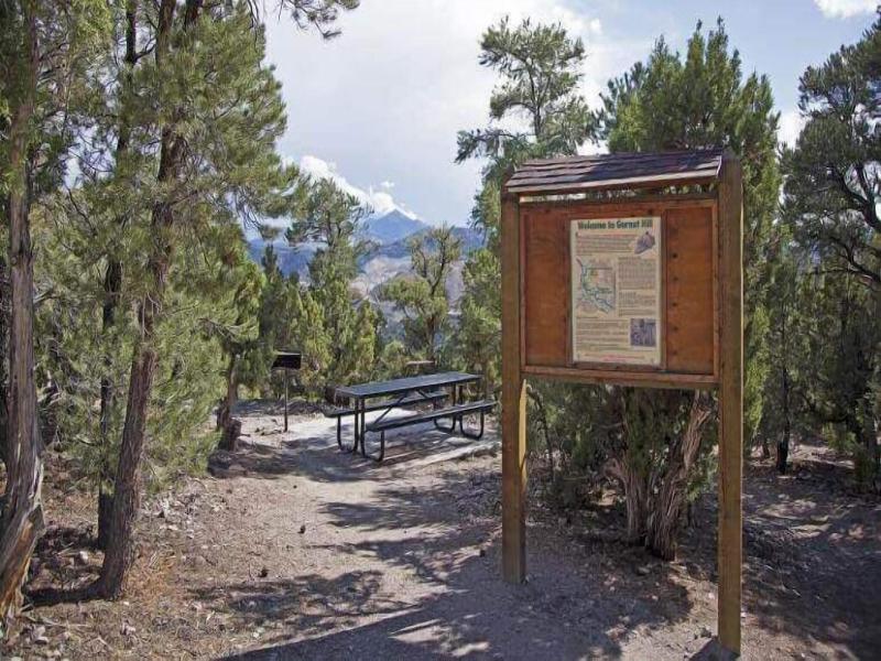 Bristlecone Motel