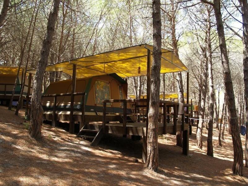 Amfibietreks Camping image