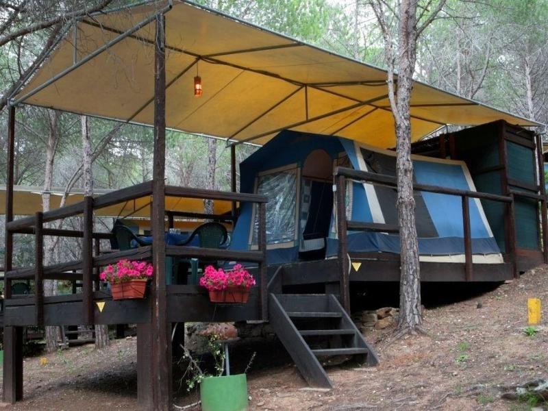 Amfibietreks Camping image