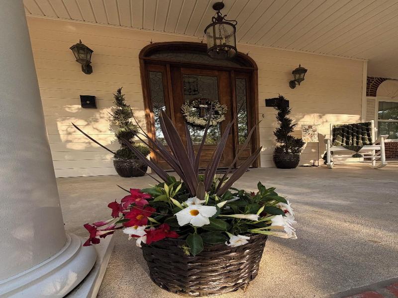 Opus House Bed And Breakfast image