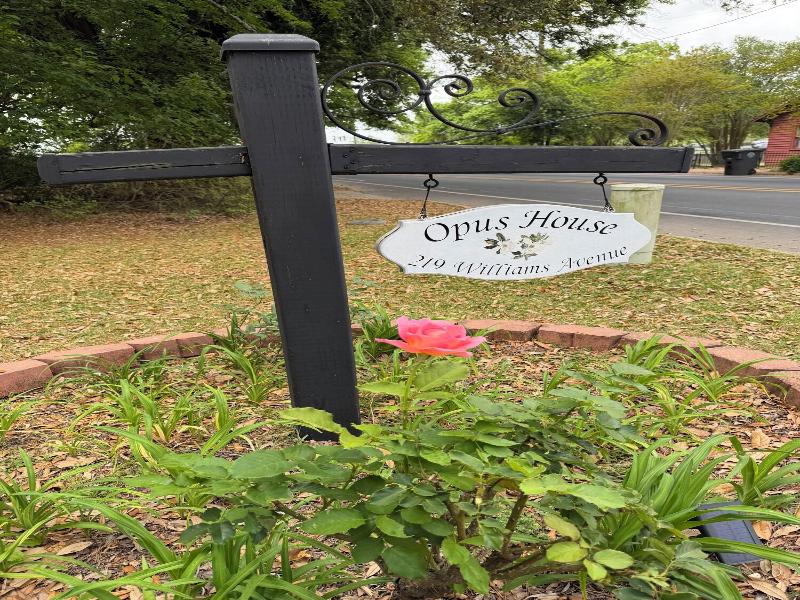 Opus House Bed And Breakfast image