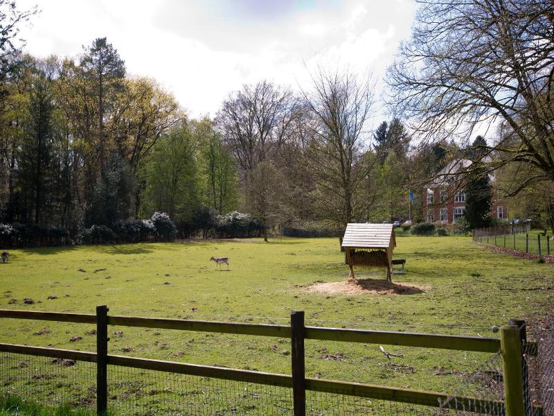Hotel Spelderholt image