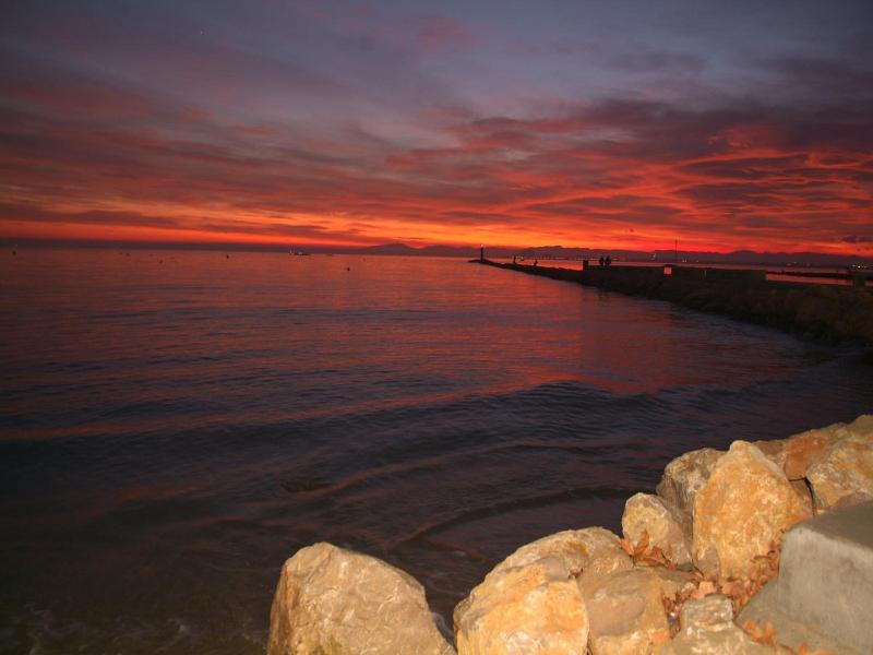 Hotel Vela image