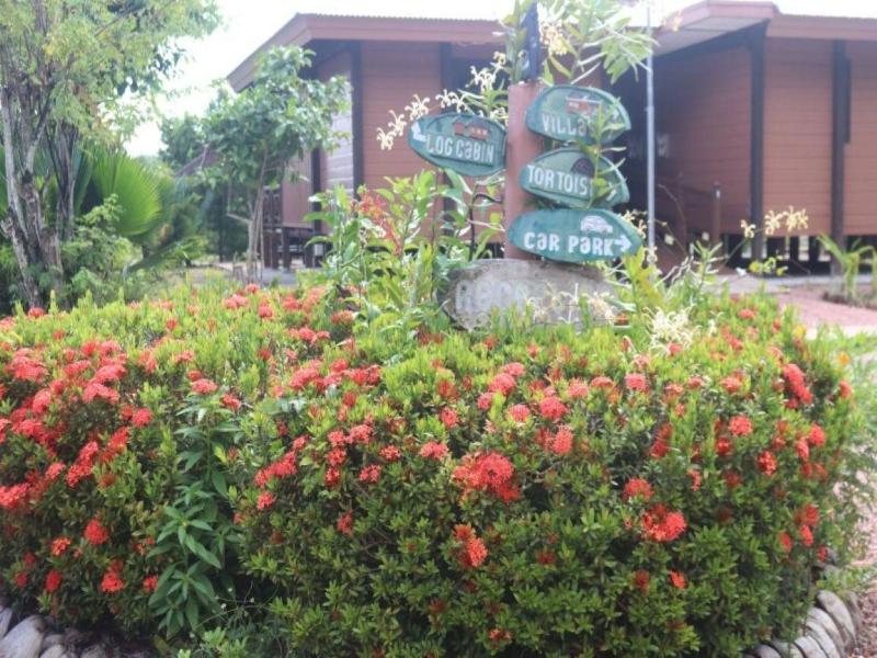 Heliconia Grove — photo 10