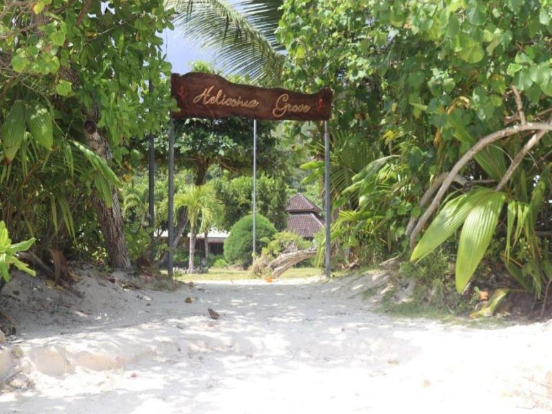 Heliconia Grove — photo 12