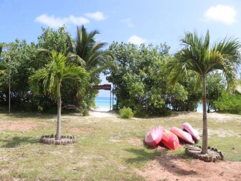 Heliconia Grove — photo 2