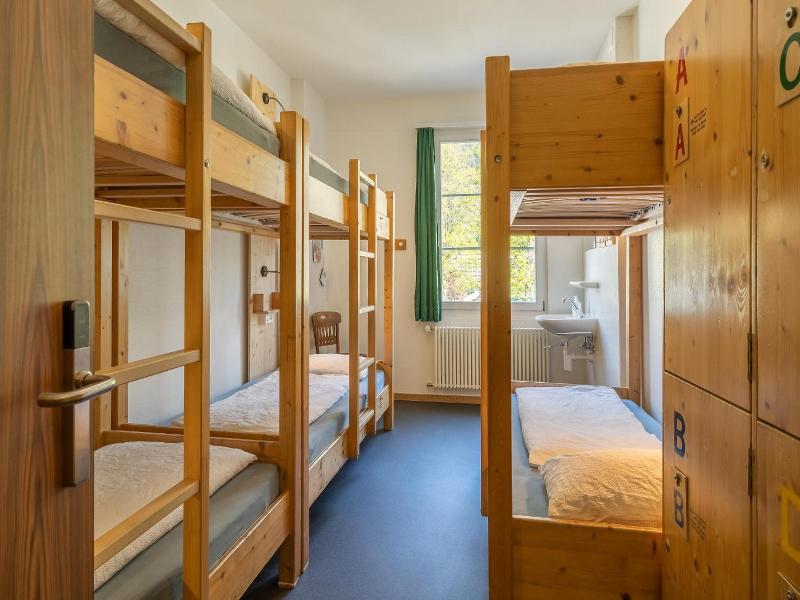 Backpackers Villa Sonnenhof Hostel image