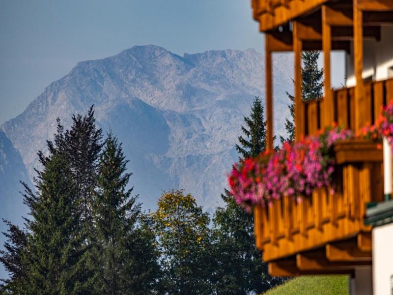 Alpenhotel Ensmann image