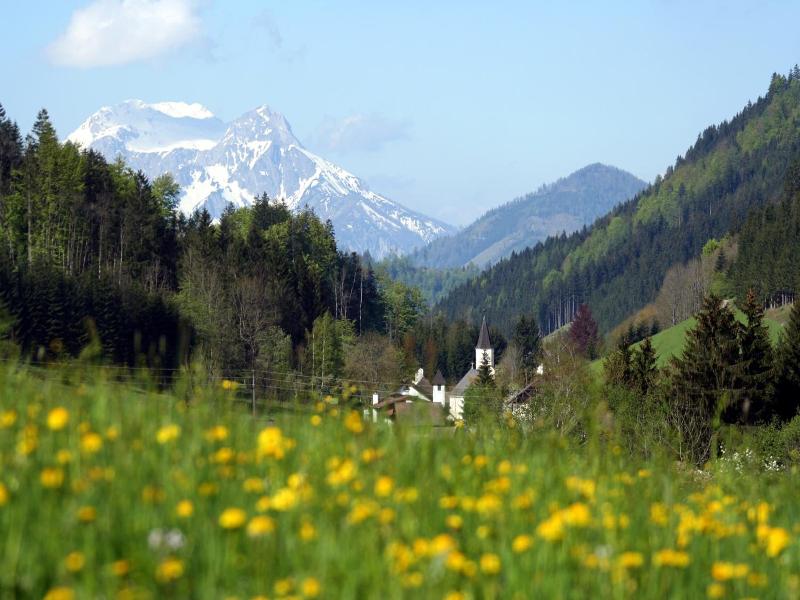 Alpenhotel Ensmann image