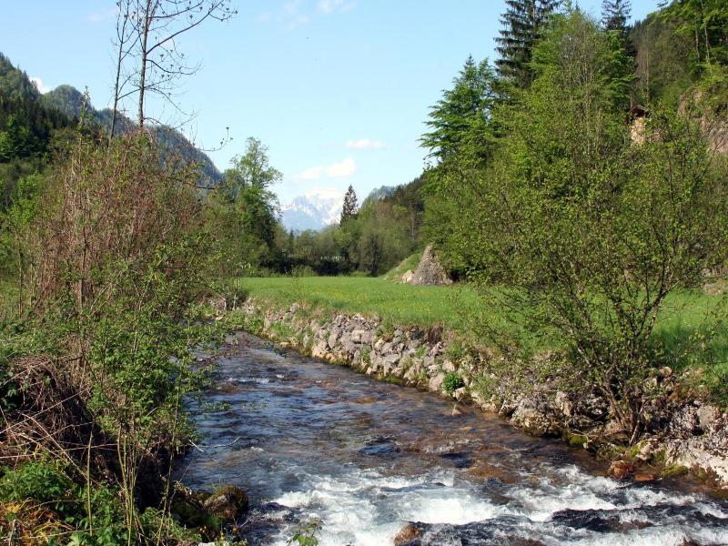 Alpenhotel Ensmann image