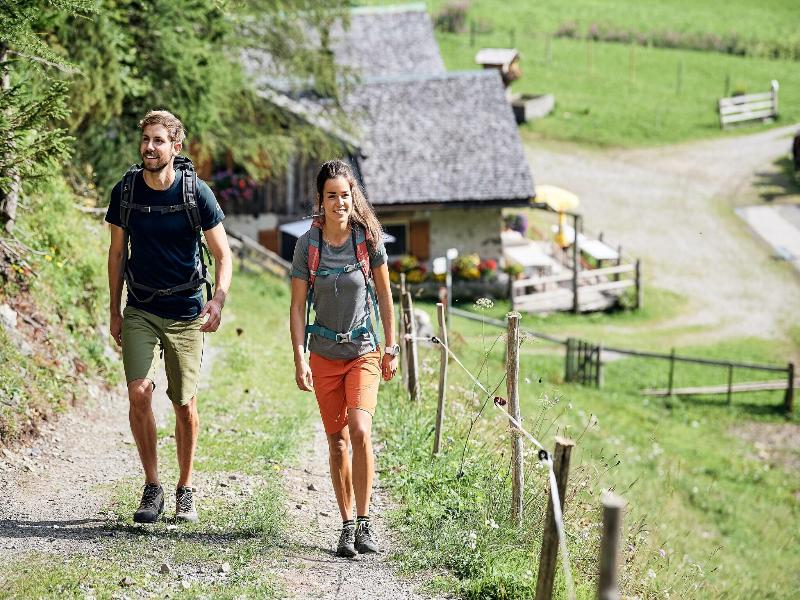 Walliserhof image