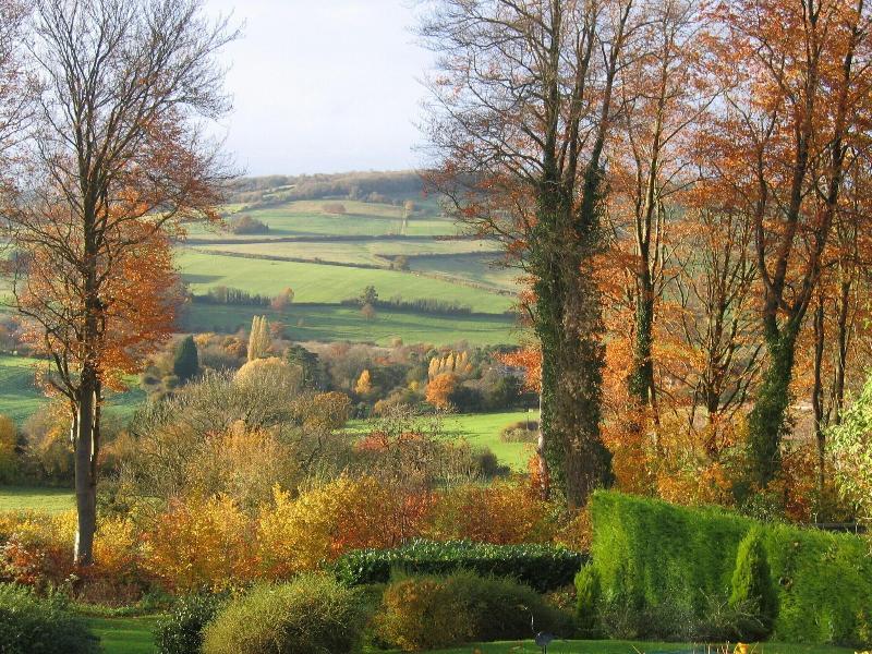 Spinneycross image