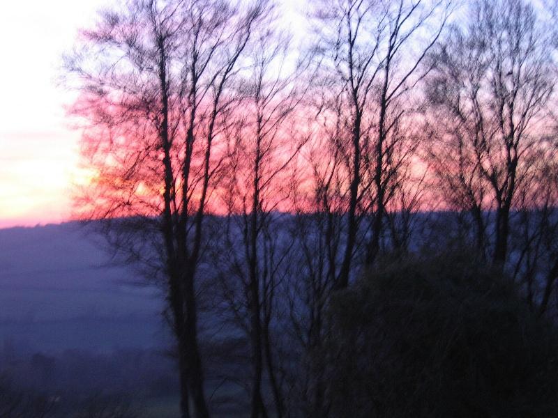 Spinneycross image