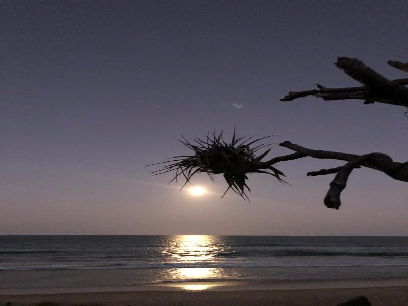 Horizons At Peregian image