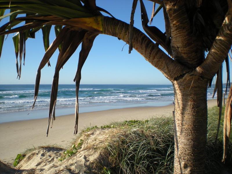 Horizons At Peregian image