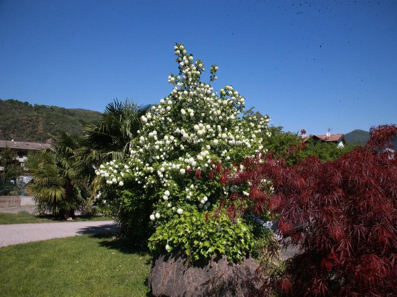 Il Canneto image