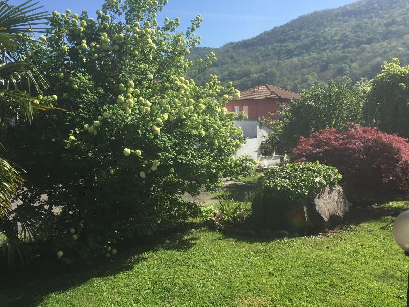 Il Canneto image