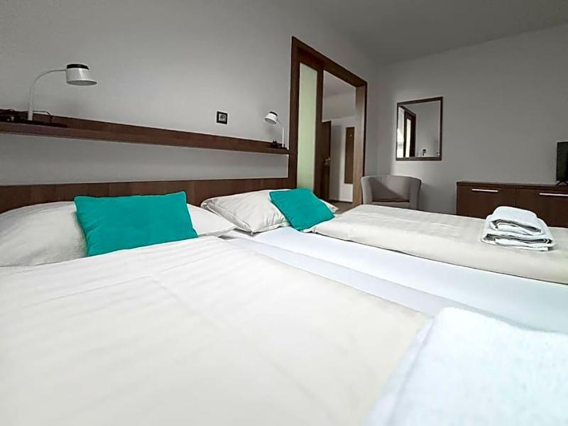 Hotel Pod Radnici image