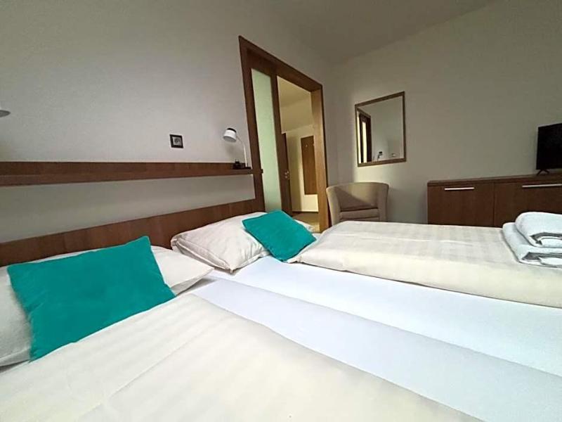 Hotel Pod Radnici image