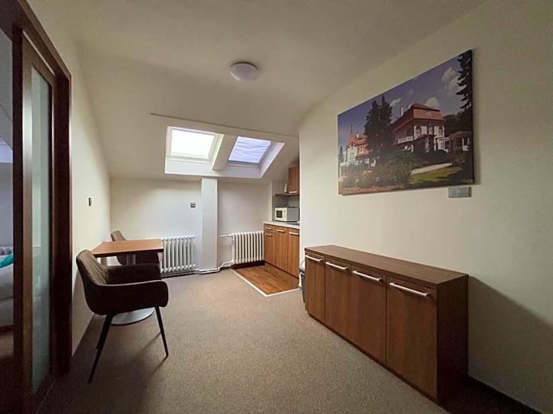 Hotel Pod Radnici image