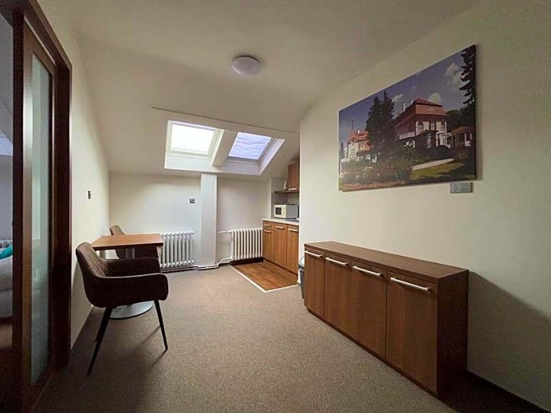 Hotel Pod Radnici image
