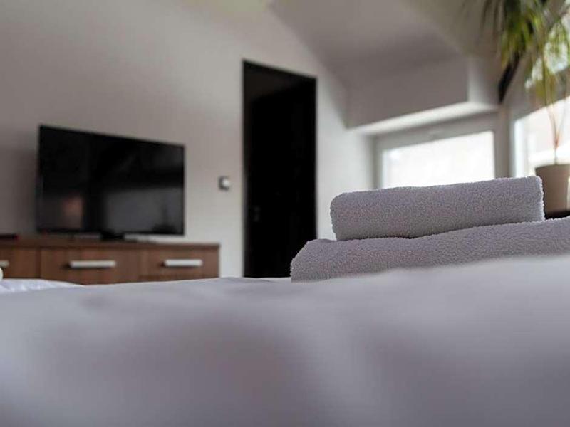 Hotel Pod Radnici image
