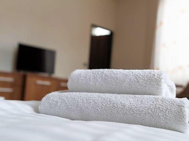 Hotel Pod Radnici image