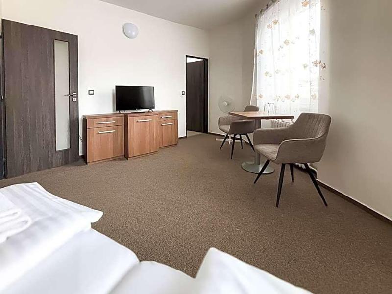 Hotel Pod Radnici image